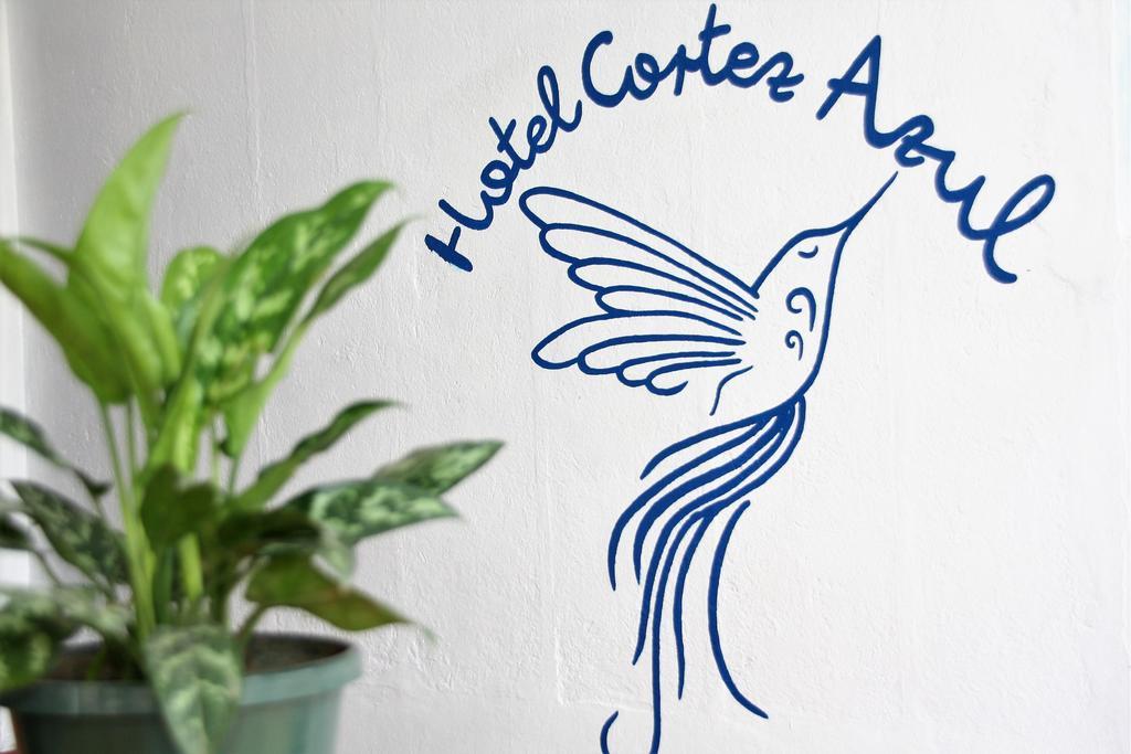 Hotel Cortez Azul Alajuela Exterior photo